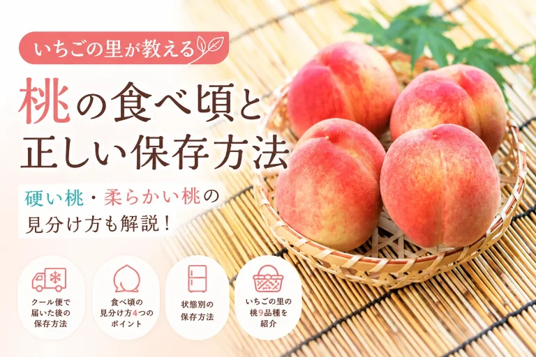 桃の食べ頃と正しい保存方法｜硬い桃・柔らかい桃の見分け方