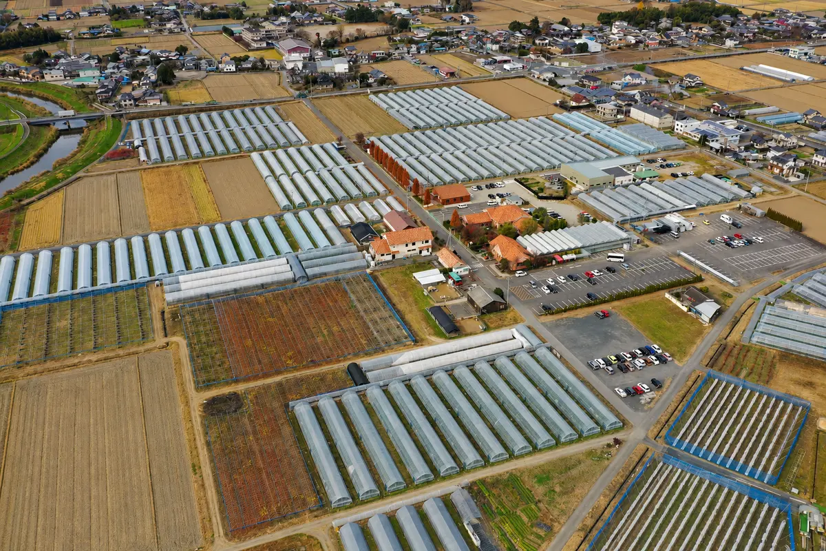 栃木県小山市に広がるいちごの里の農園とハウス