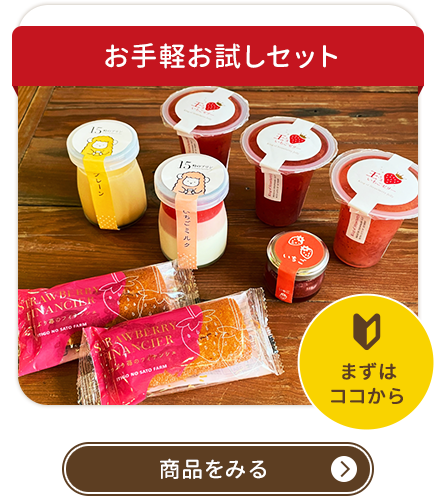 お手軽お試しセット まずはココから 商品をみる