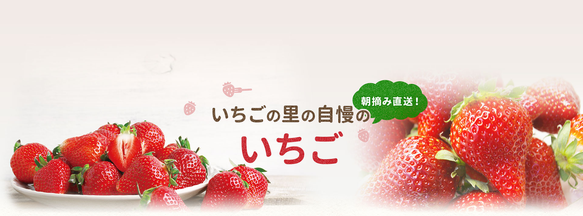 朝摘み直送！いちごの里の自慢のいちご