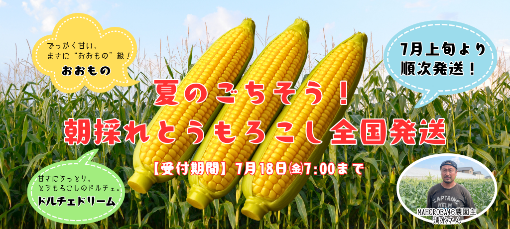 とうもろこし販売