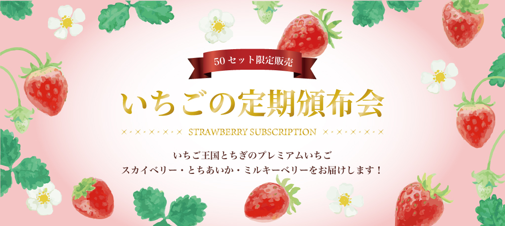 冬季限定7回お届け！いちごのプレミアム頒布会が新登場！！