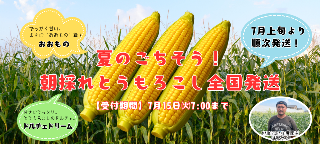 とうもろこし販売