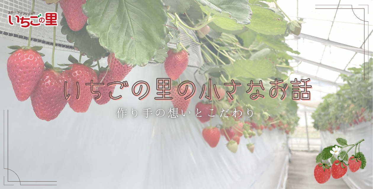 コラムページ画像