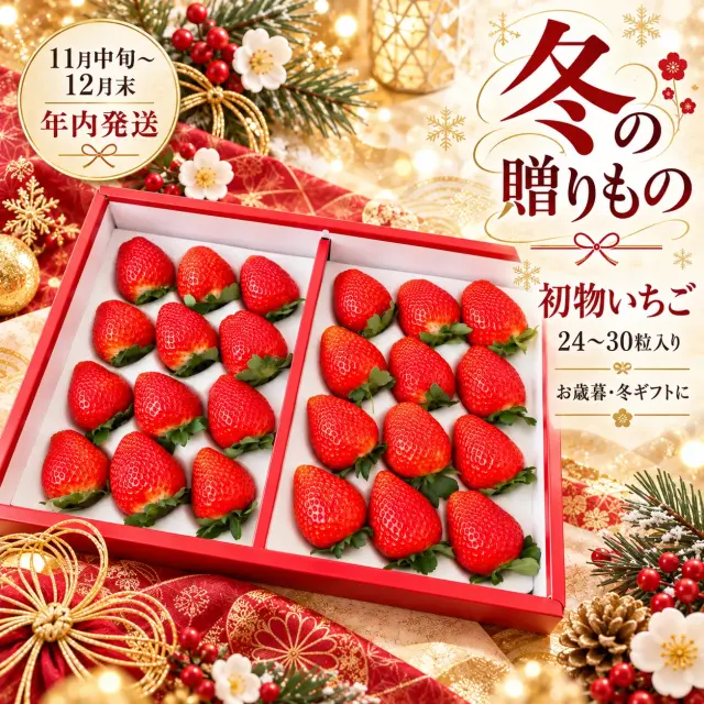 初物いちご 24〜30粒入り ギフト箱