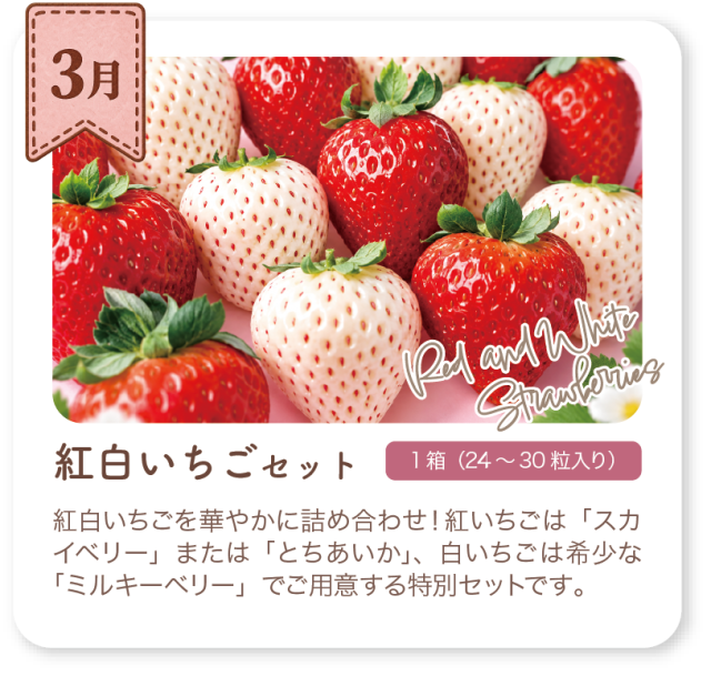 3月 紅白いちごセット