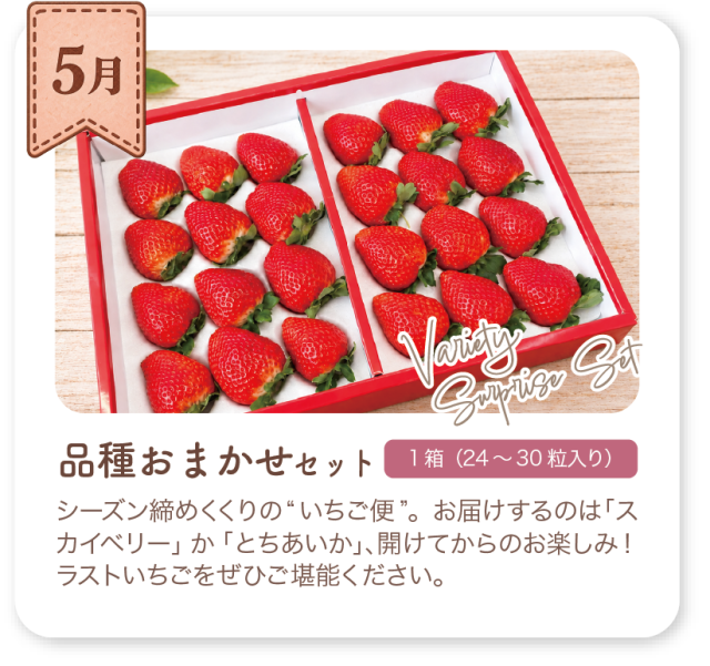 5月 品種おまかせセット