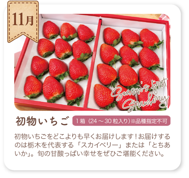 11月 初物いちご